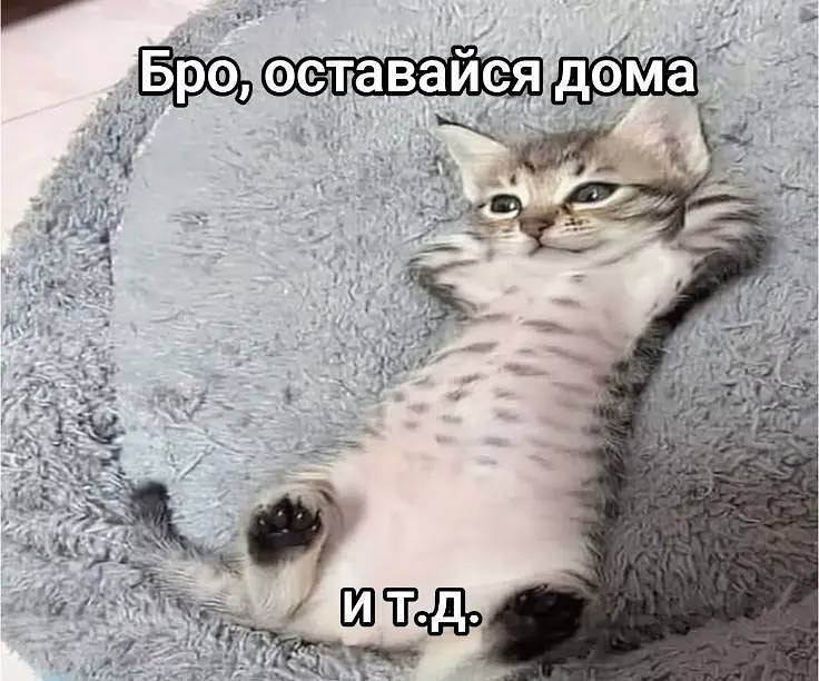 Утренняя подборочка