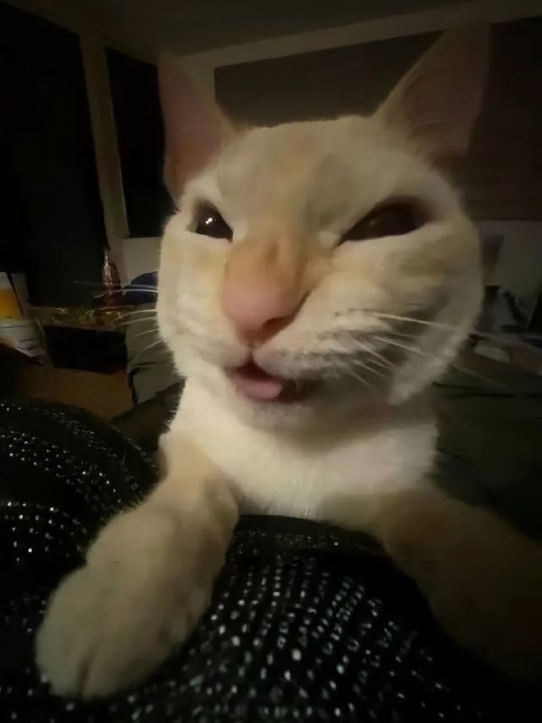 Ловите набор аватарок, чтобы показать своё настроение перед РАБотой
Ставим всем офисом заводом