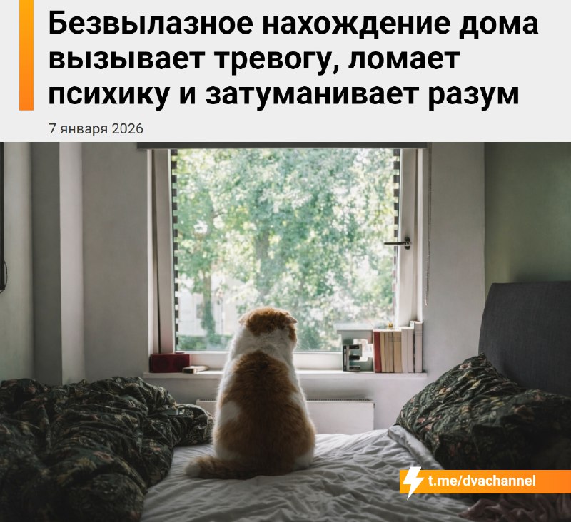 Постоянное сидение дома ломает психику, вызывает тревогу и затуманивает разум, предупредили врачи
Л