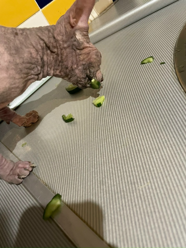 Мишель
эксперт по котлеткам с сыром, огурцам и кабачка?...