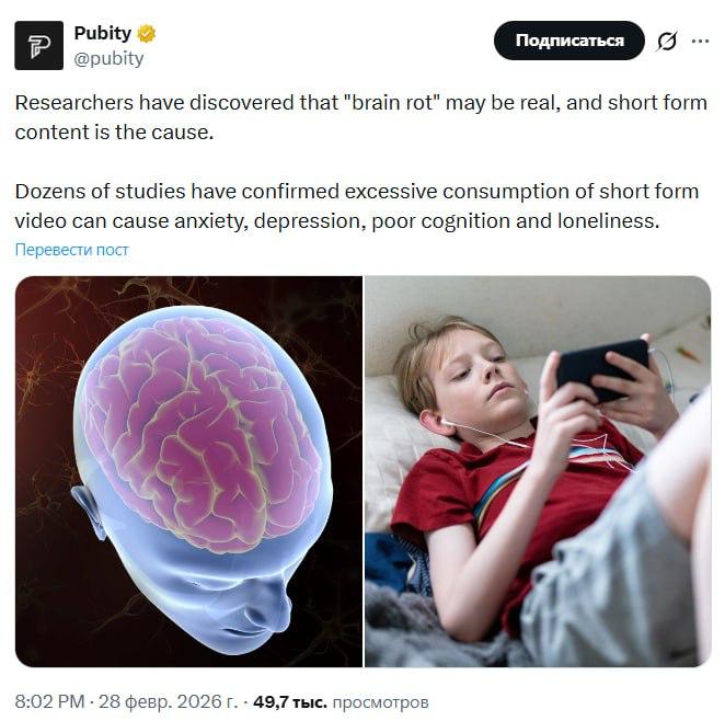 От коротких видео жёстко тупеют.
Метаанализ десятков исследований показал, что бесконечный скролли