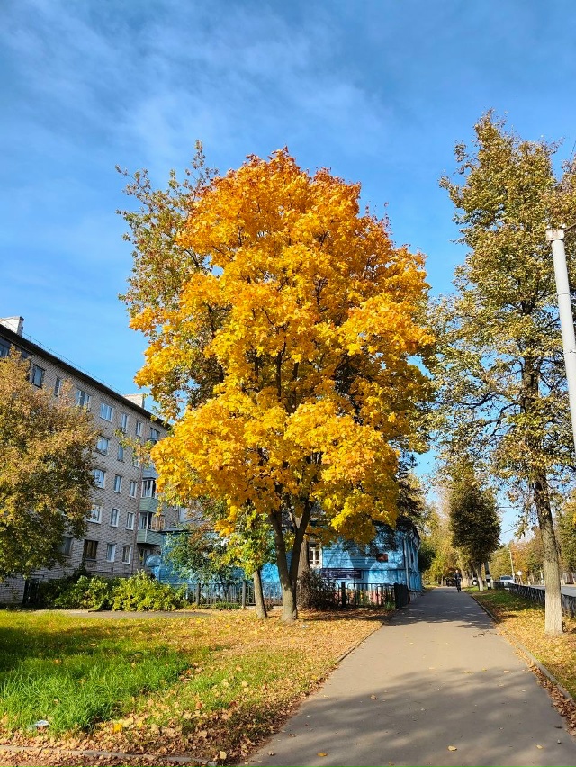 🍂🍁 Ковровская осень - красота! Анон