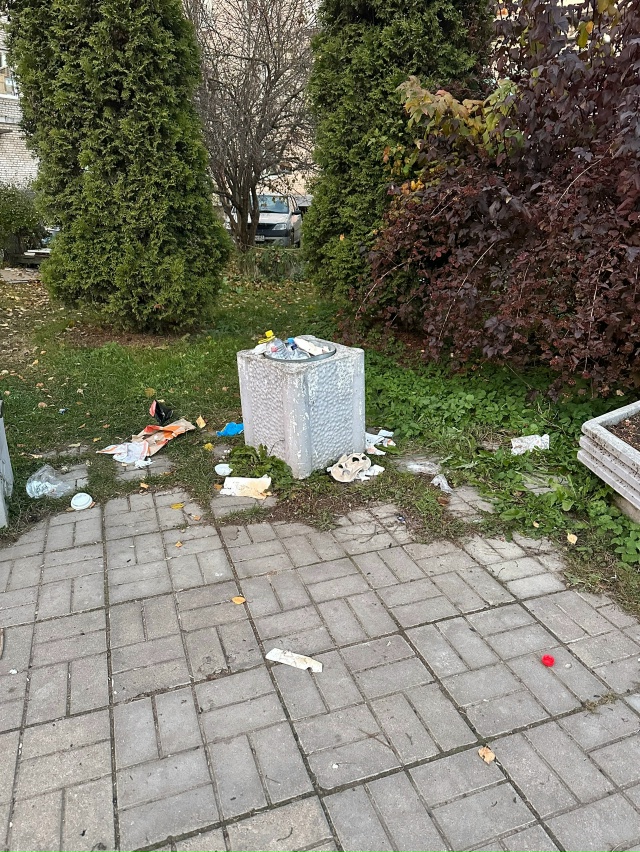 Вокзальная 6 вторую неделю лежит этот мусор!