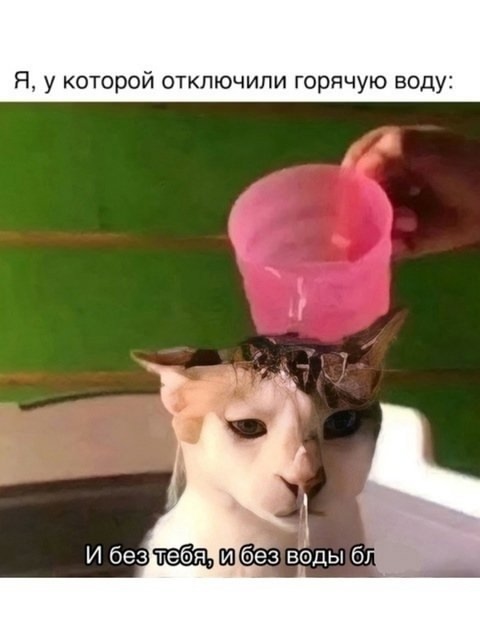 Абсолютная жизненная ситуация: