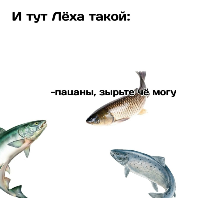 Эволюция, бессердечная ты стерва