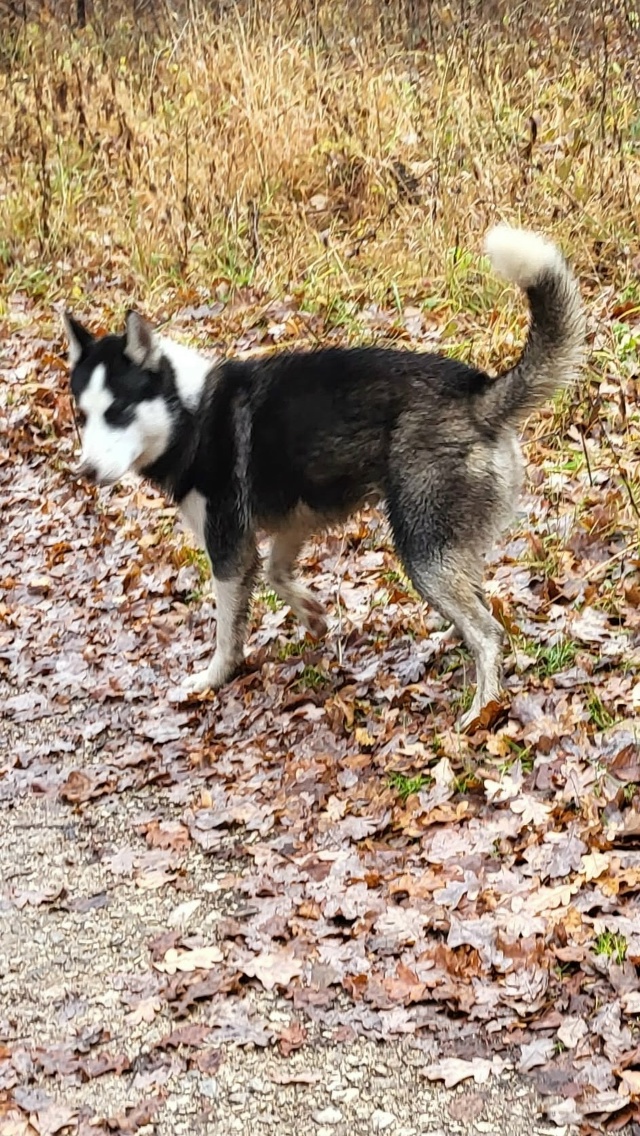 Жигулевск
На конечной Александровского поля бегает х?...