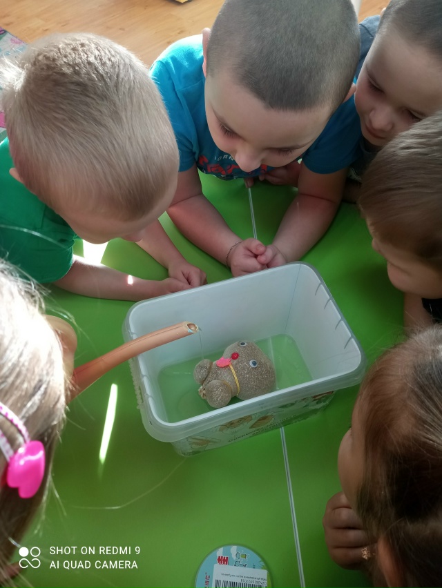 ?Маленькие исследователи: проект «Агрономия» в дейст...