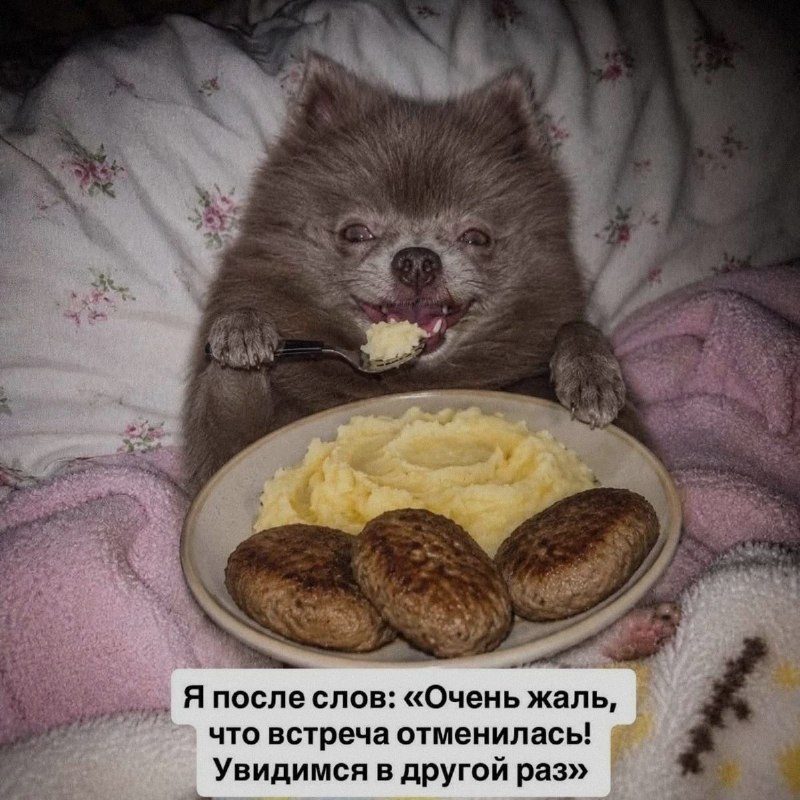 Ночная подборочка
Выходные, не спим
