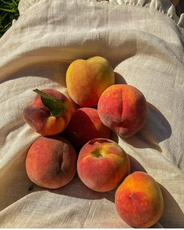 Вот почему лето моё любимое время года: