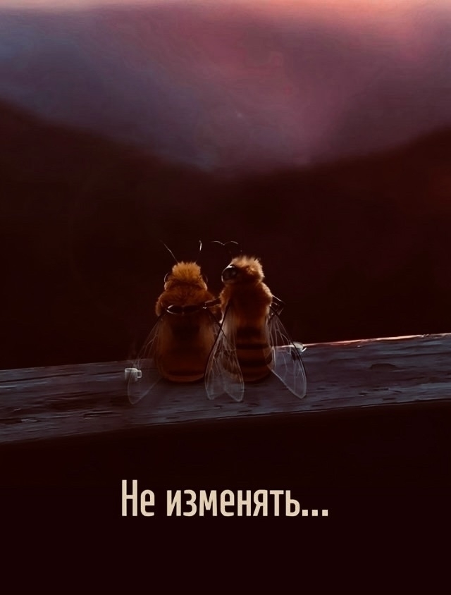 Про любовь
Пересылайте посты близким, ставьте реакци...