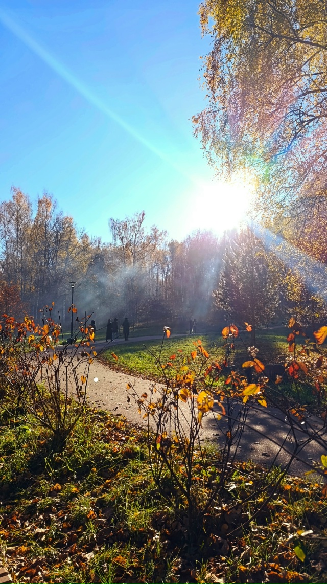 Осенняя Павловская роща🍂