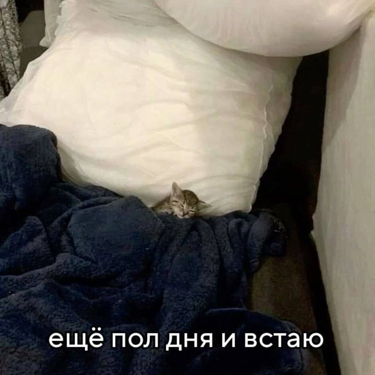 Утренняя подборочка