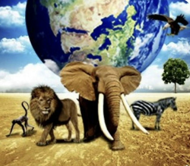 если там сзаде земля тогда на какой они планете 😐 вы ч?...