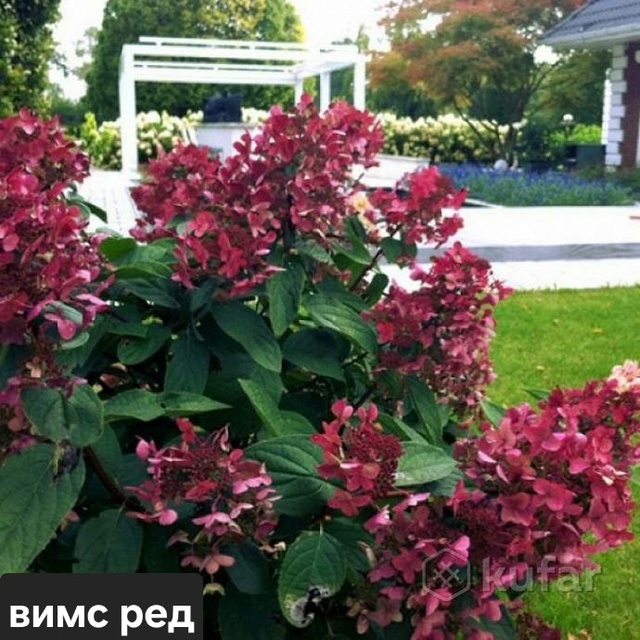 В наличии🌸