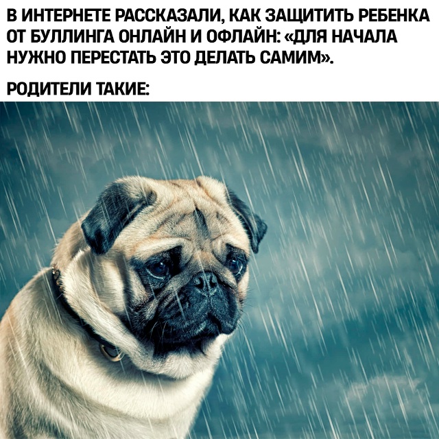 Жизнь потеряла краски