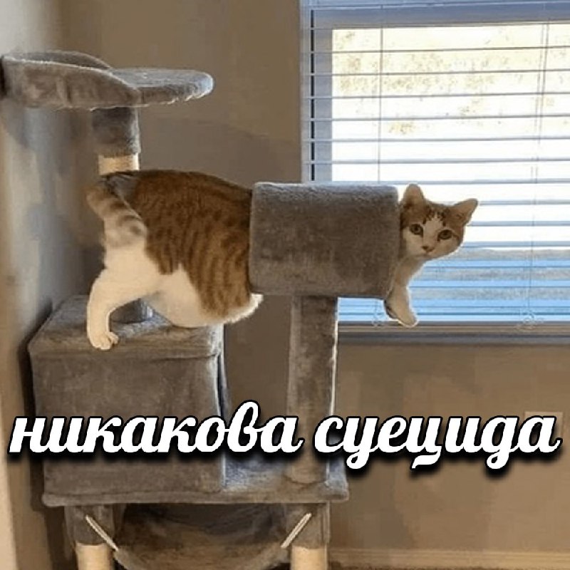 Повод не худеть к лету: Исследование показало, что худые люди подвержены высокому риску самоубийства