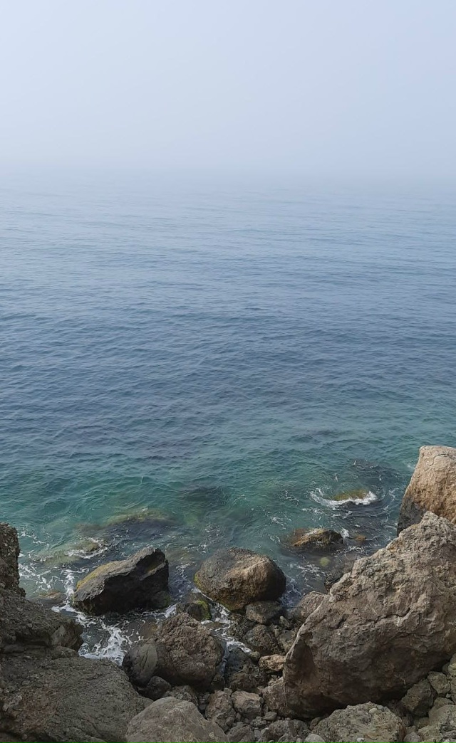 💞 Привет Коврову из Крыма! 💕