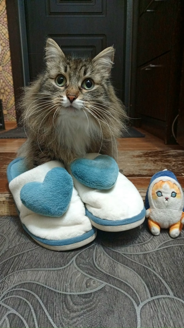 шпендель прикупил себе ботиночек и подружку нашел🥰🥰...