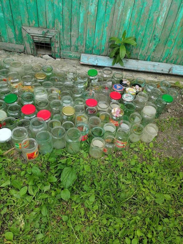 Отдам банки , 3 л , 1л, 750; 500. Банки пыльные , целые забират?...