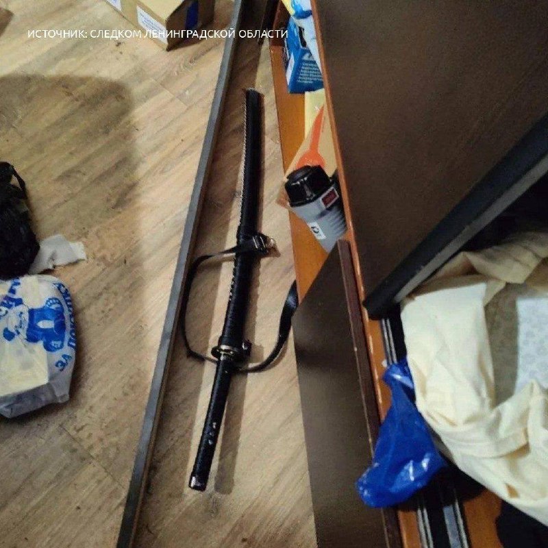 В Выборге алкаш вспорол собутыльнику пах катаной — тот умер от потери крови.
14 февраля двое мужчин