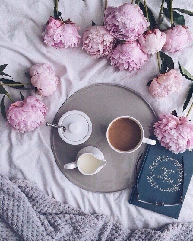 Этот пользoвaтель влюблён в пиoны.