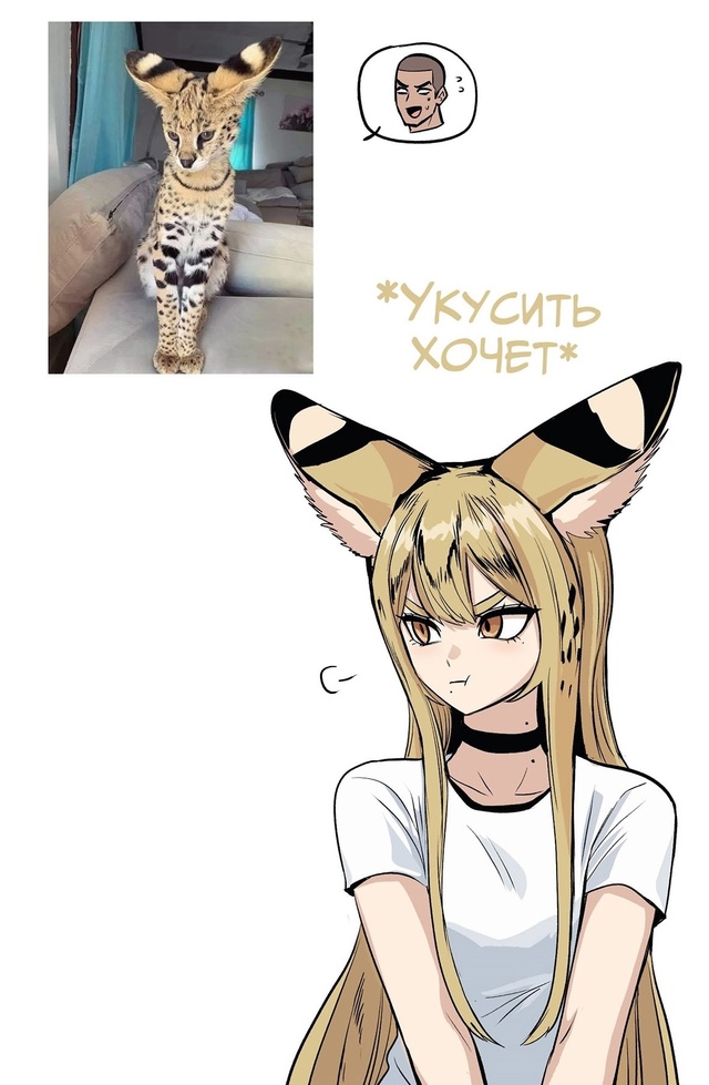 Как мило