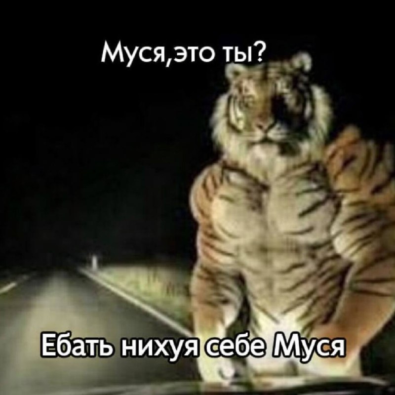 Когда встретила соседского шкета, которого в последний раз видела, когда он был мелким пиздюшонком,