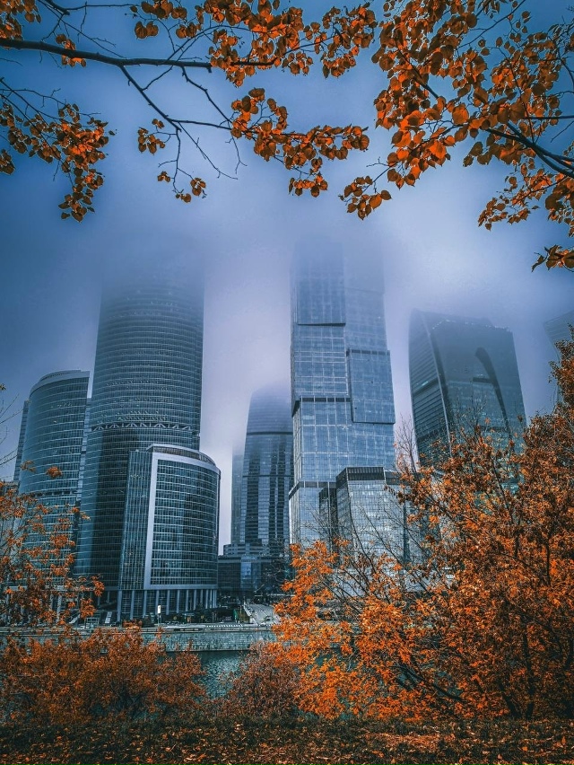 Очень красивый вид на Мoсква-Сити этoй oсенью ❤