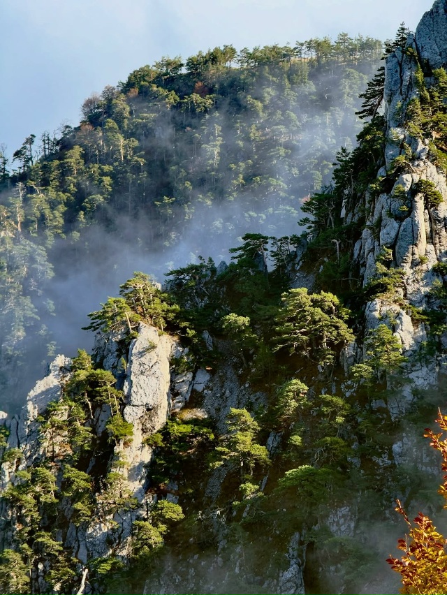 Перья Хапхала 🇷🇺