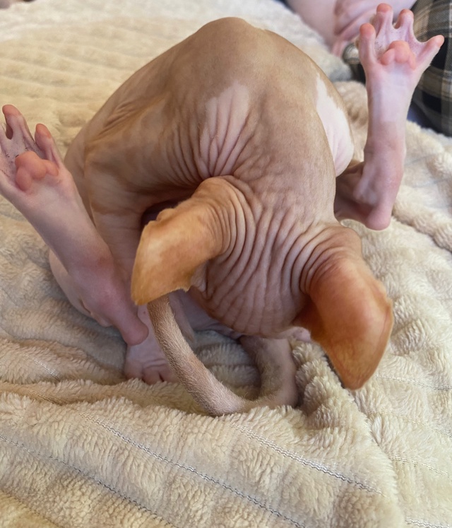 ?Мэджик ✨ Часть 1