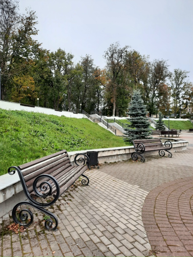Туманное утро🍁
