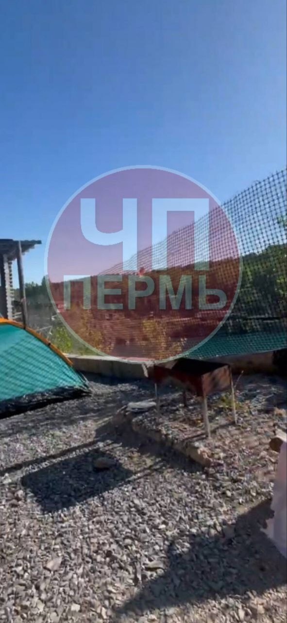 Вчера (02.08), недалеко от г.Александровск, на территории ?...