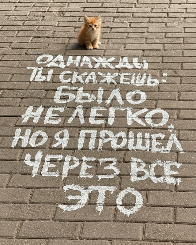 Китики дело говорят