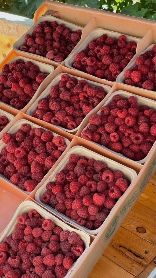 Это то, за что я люблю лето 🤤😍