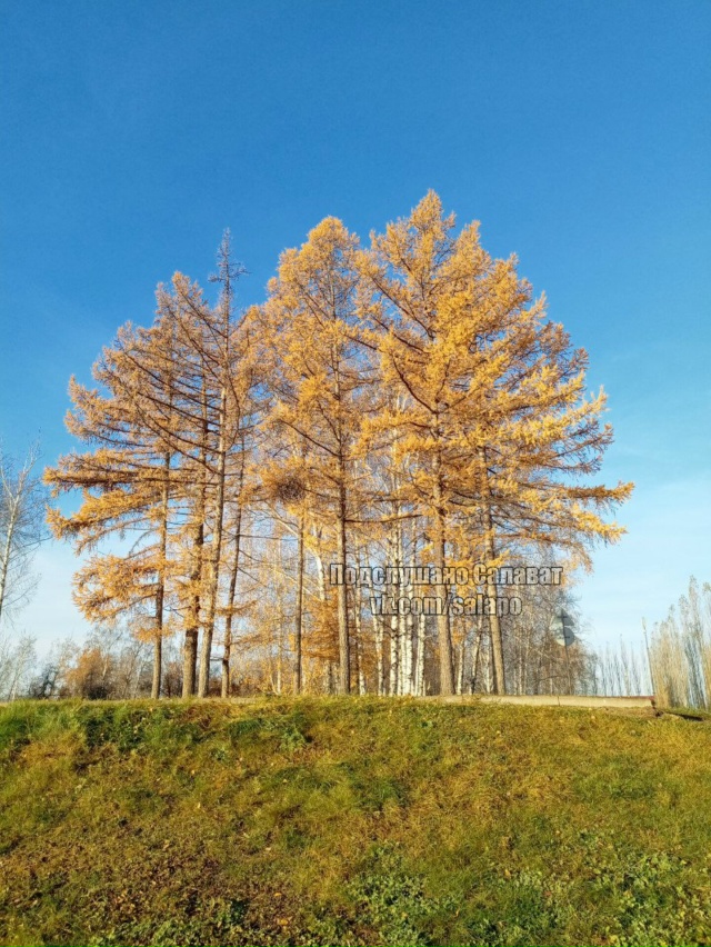 Тёплый осенний день в Салавате ☀