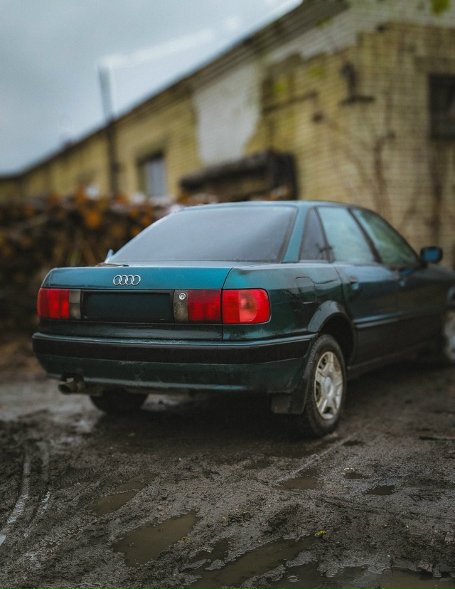 Очень- осень...
Google Pixel 7 Pro (Lightroom)
#мобильнаяфотография #м...