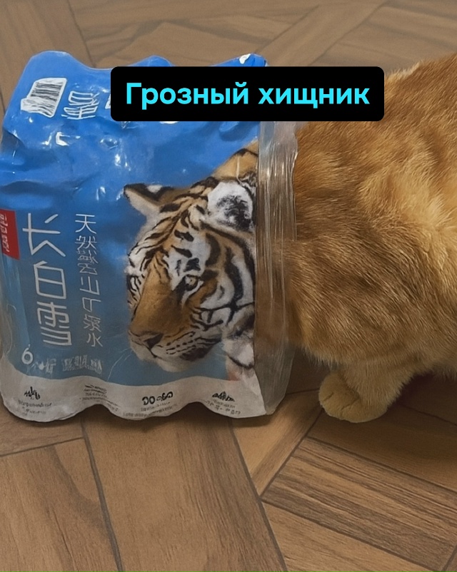 Внутри каждого кота сидит тигр, но только до первого пы...