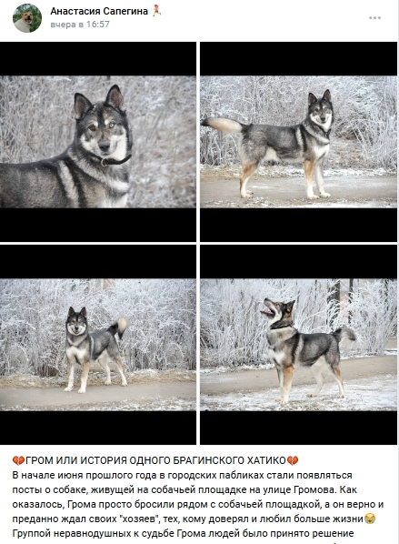 Пост добра. Распространите, пожалуйста.