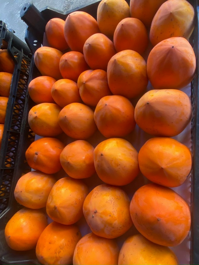 Хурма!🔥🔥🔥🔥🔥🔥🔥🔥🔥🔥🔥🔥🔥🔥
Собираю заявки н?...