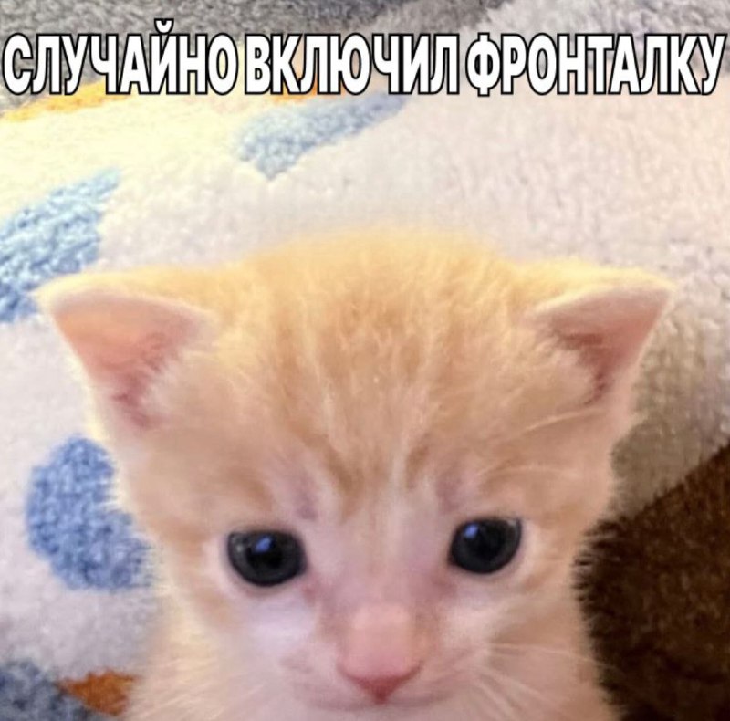 Утренняя подборочка