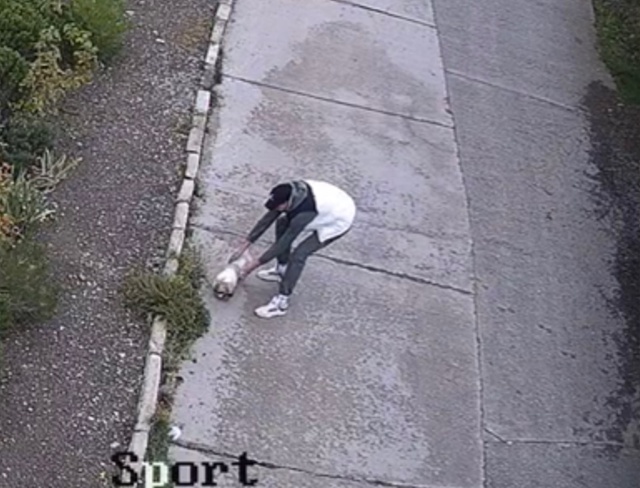 Ну что за люди? 🤬 Молодой человек на видео в 13:34 ,11.10.25
Н...