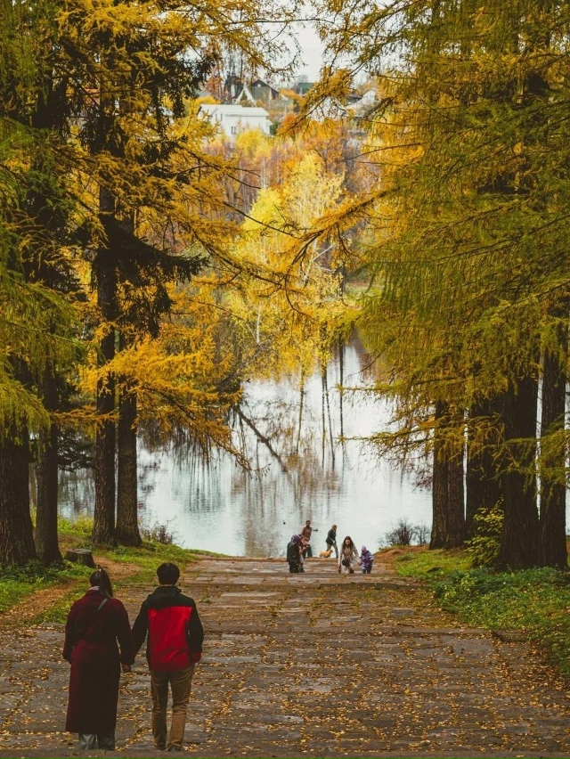 🏛 Усадьба Середниково в осенней красе
Находится она ?...