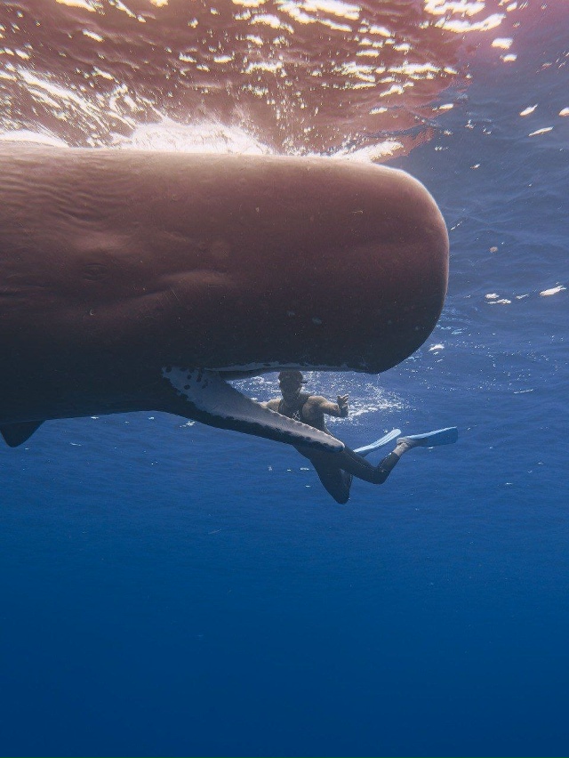 Завораживающие кадры с отдыха на Шри-Ланке от Тимати!
?...