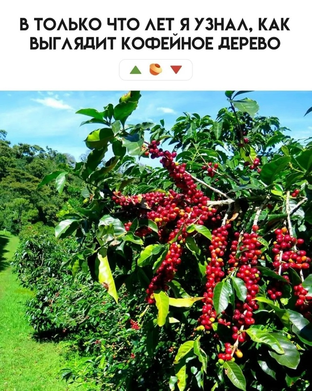 Что вы из этого знали?
