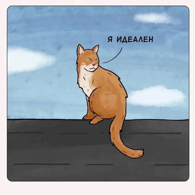 коты такие коты
