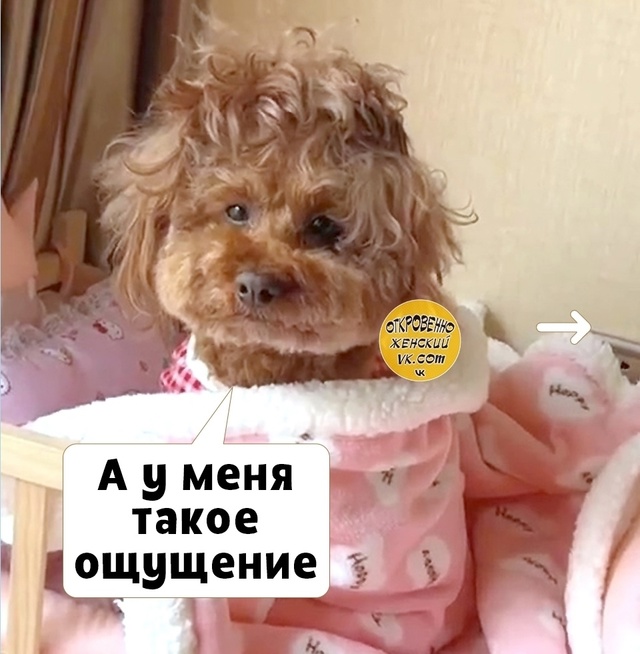 Четверг - это малeнькая пятница.