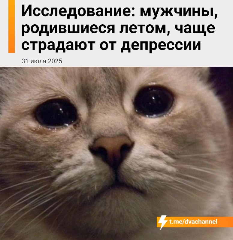 Мужчины, родившиеся летом, чаще страдают от депрессии, показало исследование
Учёные считают, что эт
