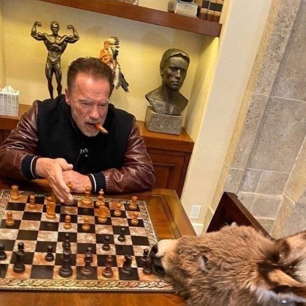 У Арнольда живут шесть спасенных животных😅
Это один ?...