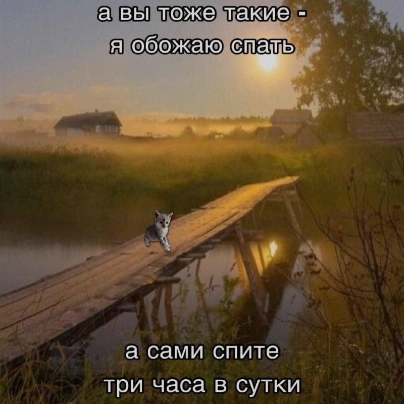 Ночная подборочка
Спать, режим
