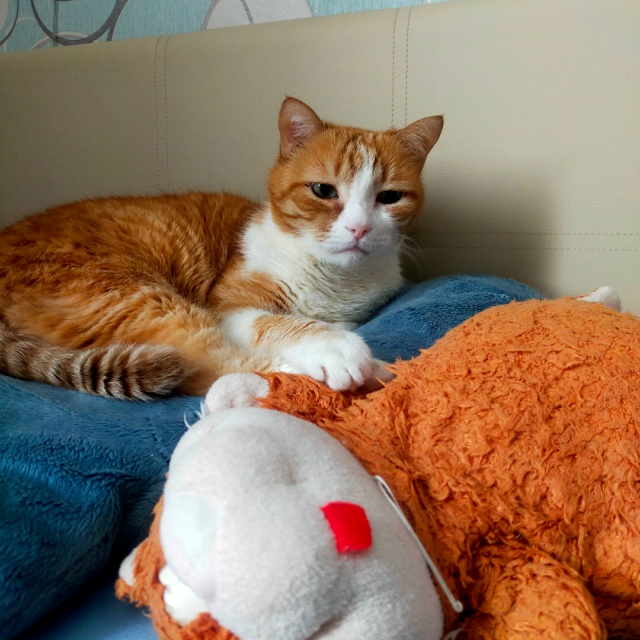 #егобезейшество держится за рыжего брата и думает о су?...